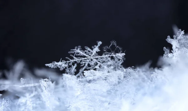 雪の上の雪 画像は の温度で作られた — ストック写真