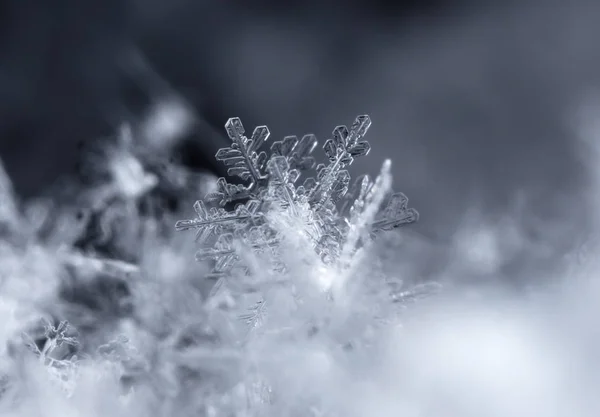 在雪上的雪花 这幅画是在温度的 — 图库照片