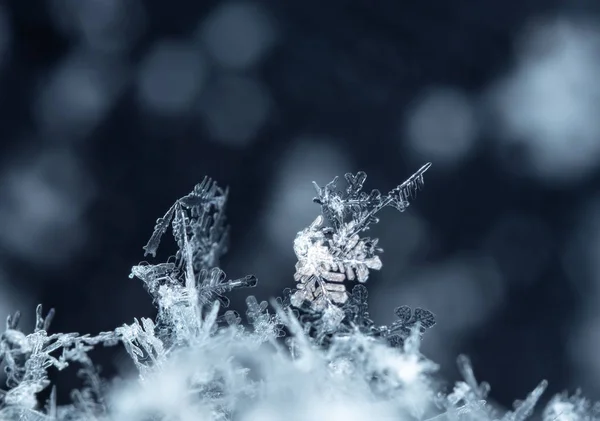 Kar Üzerinde Kar Taneleri Resim Bir Sıcaklıkta Yapılır — Stok fotoğraf