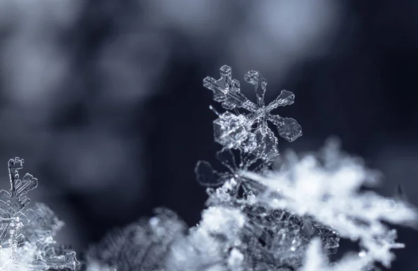 Flocos Neve Neve Imagem Feita Uma Temperatura — Fotografia de Stock