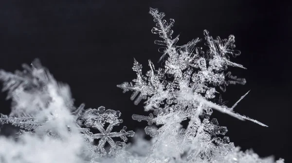 在雪上的雪花 这幅画是在温度的 — 图库照片