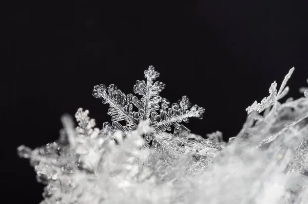 Copos Nieve Nieve Imagen Hace Una Temperatura —  Fotos de Stock