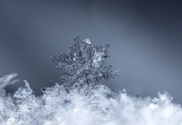 Νιφάδες Χιονιού Στο Χιόνι Εικόνα Γίνεται Θερμοκρασία Του — Φωτογραφία Αρχείου