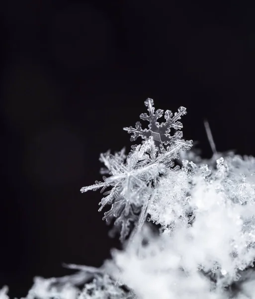 Copos Nieve Nieve Imagen Hace Una Temperatura — Foto de Stock