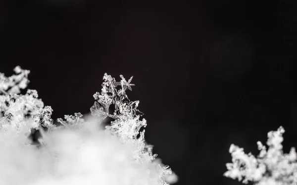 Sneeuwvlokken Sneeuw Foto Gemaakt Bij Een Temperatuur Van — Stockfoto