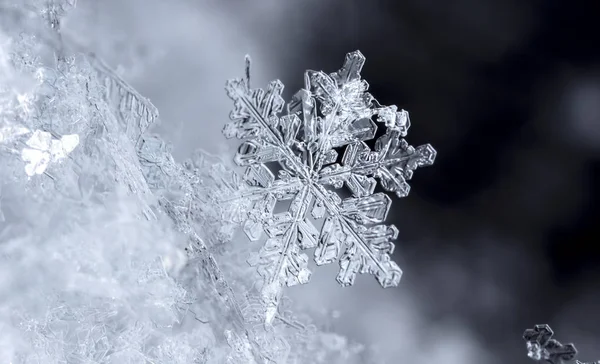 Sneeuwvlokken Sneeuw Foto Gemaakt Bij Een Temperatuur Van — Stockfoto