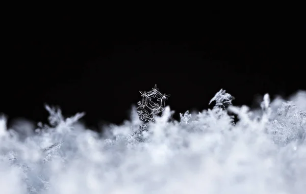 Sneeuwvlokken Sneeuw Foto Gemaakt Bij Een Temperatuur Van — Stockfoto