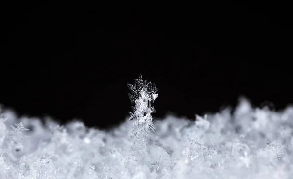 Flocons Neige Sur Neige Image Est Faite Une Température — Photo