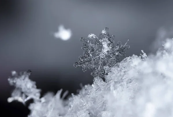 Sneeuwvlokken Sneeuw Foto Gemaakt Bij Een Temperatuur Van — Stockfoto