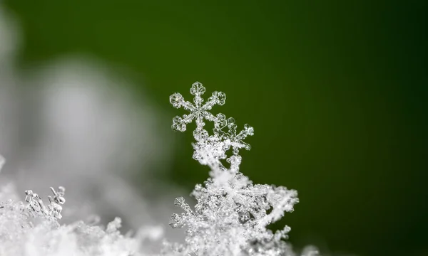 在雪上的雪花 这幅画是在温度的 — 图库照片