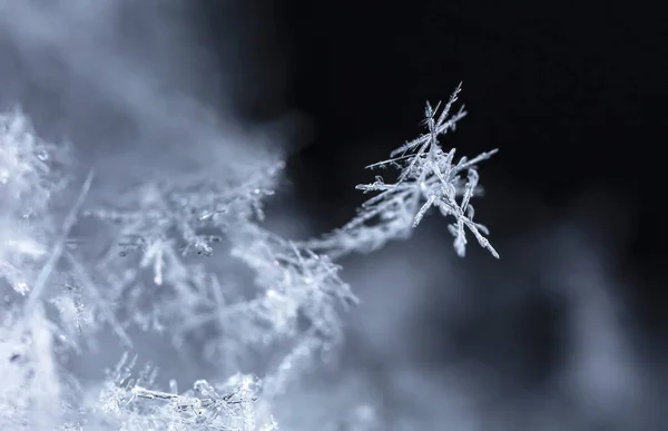 在雪上的雪花 这幅画是在温度的 — 图库照片