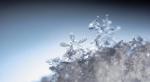 在雪上的雪花 这幅画是在温度的 — 图库照片