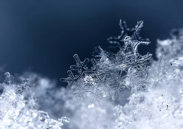 Sneeuwvlokken Sneeuw Foto Gemaakt Bij Een Temperatuur Van Stockafbeelding