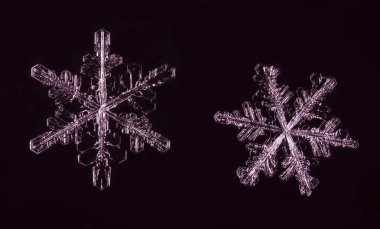 kar üzerinde kar taneleri. Resim 8 bir sıcaklıkta yapılır C