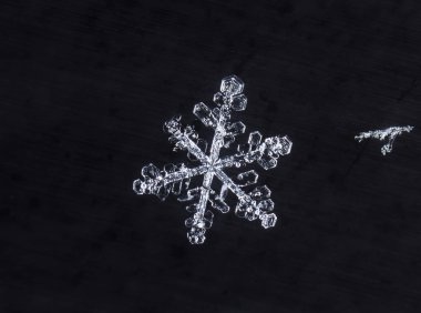 kar üzerinde kar taneleri. Resim 8 bir sıcaklıkta yapılır C