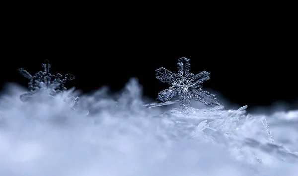 Schneeflocken Auf Schnee Das Bild Wird Bei Einer Temperatur Von — Stockfoto