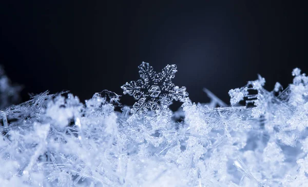 在雪上的雪花 这幅画是在温度的 — 图库照片