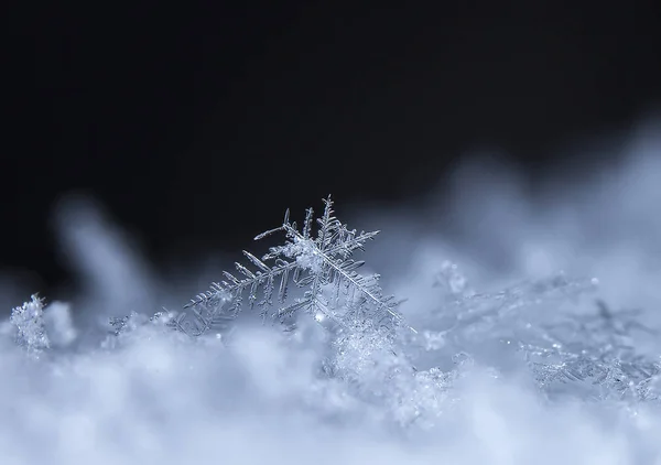Copos Nieve Nieve Imagen Hace Una Temperatura — Foto de Stock