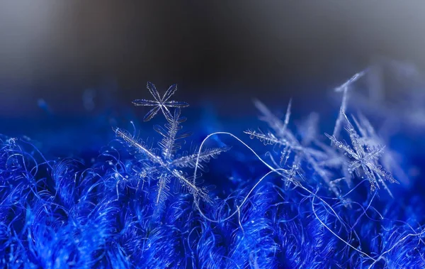 在雪上的雪花 这幅画是在温度的 — 图库照片