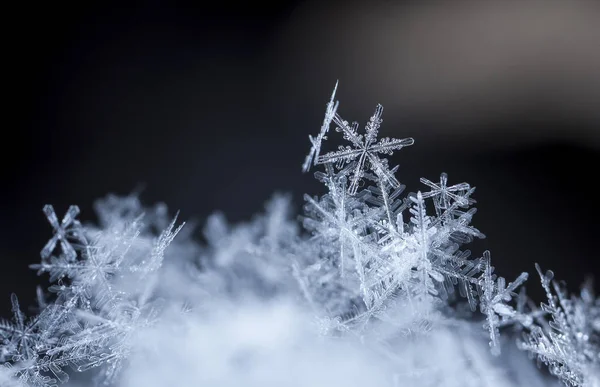 Flocons Neige Sur Neige Image Est Faite Une Température — Photo