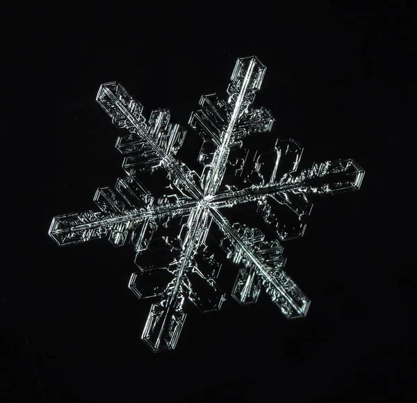 Snowflakes Snow Picture Made Temperature — Stock Photo, Image