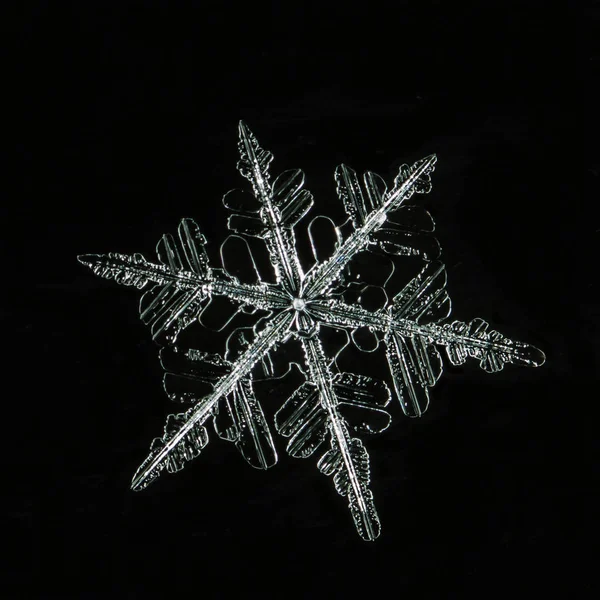 Snowflakes Snow Picture Made Temperature — Stock Photo, Image