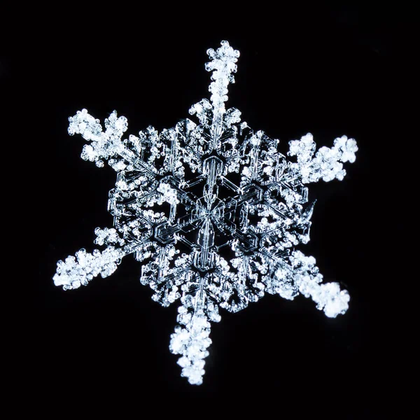 Snowflakes Snow Picture Made Temperature — Stock Photo, Image