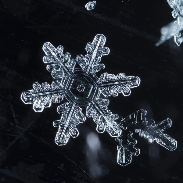 Snowflakes Snow Picture Made Temperature — Stock Photo, Image