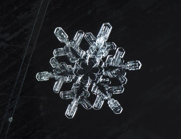 Snowflakes Snow Picture Made Temperature — Stock Photo, Image