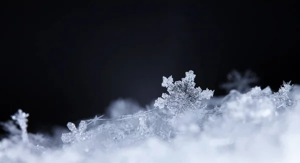 Vločky Sněhu Obrázek Provedena Při Teplotě — Stock fotografie