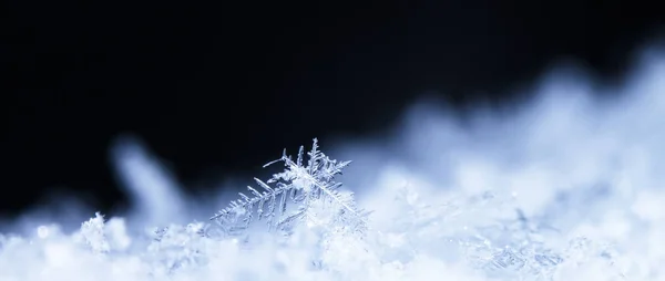 Snowflakes Snow Picture Made Temperature — Stock Photo, Image