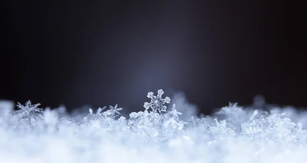 在雪上的雪花 这幅画是在温度的 — 图库照片