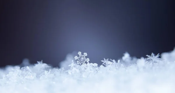 在雪上的雪花 这幅画是在温度的 — 图库照片