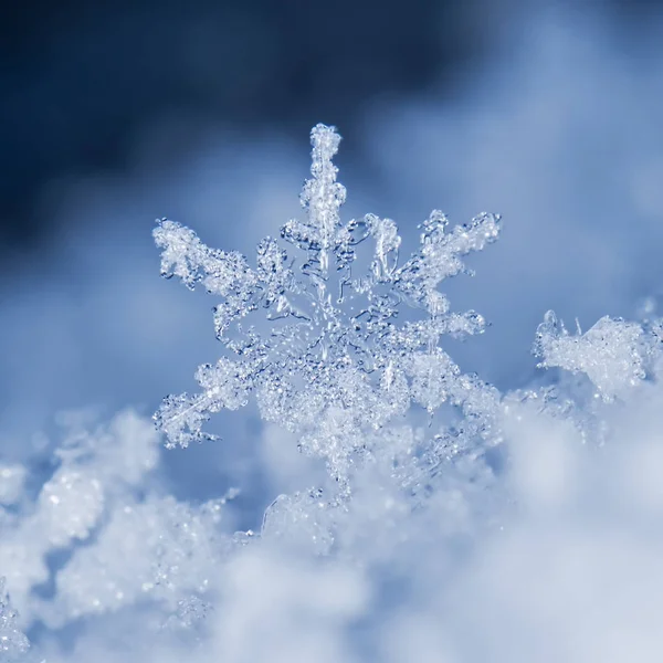 snowflakes on snow. the picture is made at a temperature of-8 C