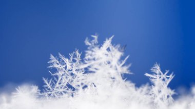 kar üzerinde kar taneleri. Resim 8 bir sıcaklıkta yapılır C