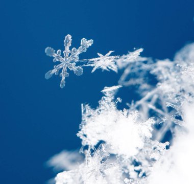 kar üzerinde kar taneleri. Resim 8 bir sıcaklıkta yapılır C