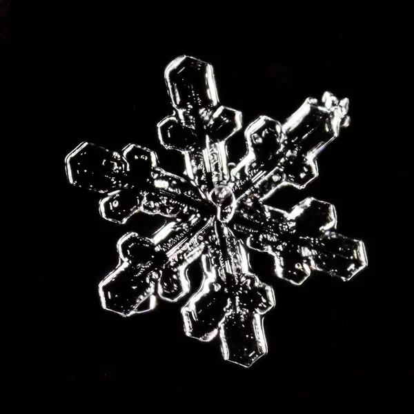 Snowflakes Snow Picture Made Temperature — Stock Photo, Image