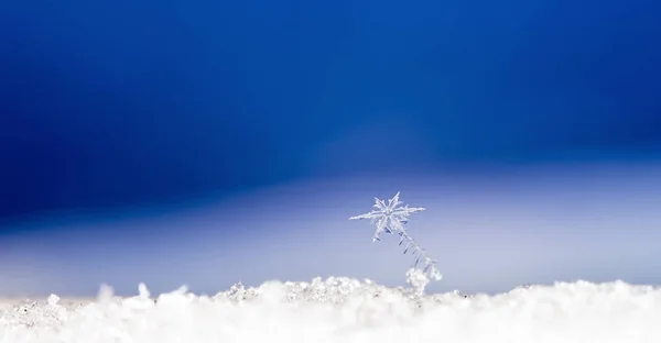 Schneeflocken Auf Schnee Das Bild Wird Bei Einer Temperatur Von — Stockfoto