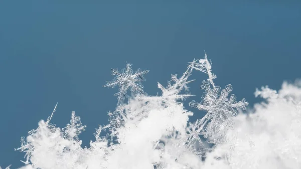 在雪上的雪花 这幅画是在温度的 — 图库照片