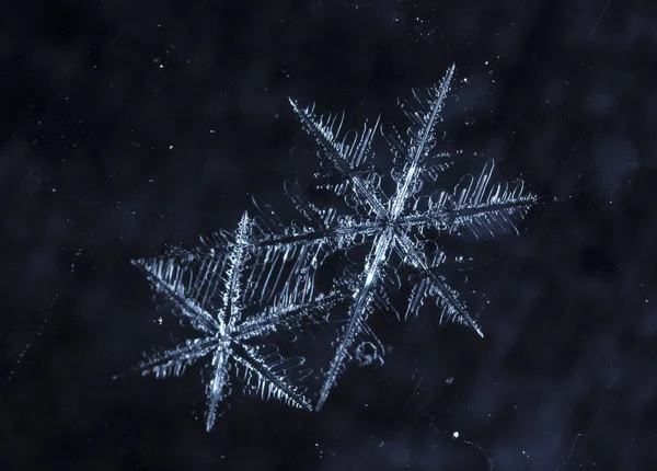 Sneeuwvlokken Sneeuw Foto Gemaakt Bij Een Temperatuur Van — Stockfoto