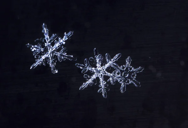 Snowflakes Snow Picture Made Temperature — Stock Photo, Image