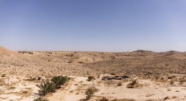 Sahra Çölü'nde sıcak bir gün