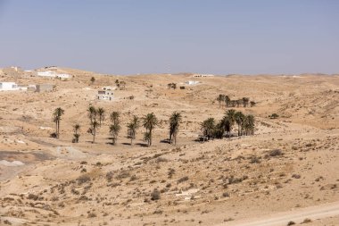 Sahra Çölü'nde sıcak bir gün