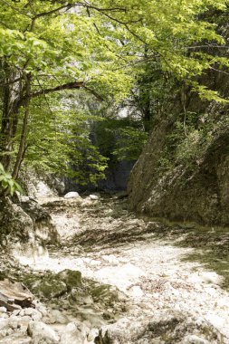 Kırım Yarımadası'nın Dağları