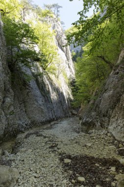 Kırım Yarımadası'nın Dağları