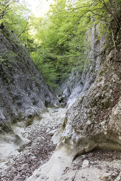 Montagnes Péninsule Crimée — Photo