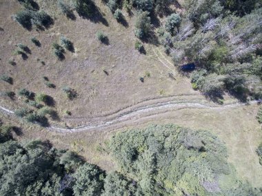 orman, yukarıdan görünüm