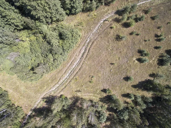 Bosque Vista Desde Arriba — Foto de Stock