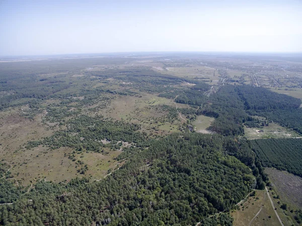 Forêt Vue Haut — Photo