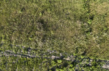 alan, yukarıdan görünüm